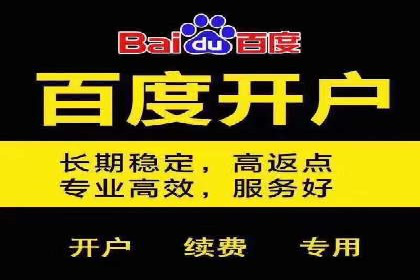 实战解析：百度竞价排名服务成功案例